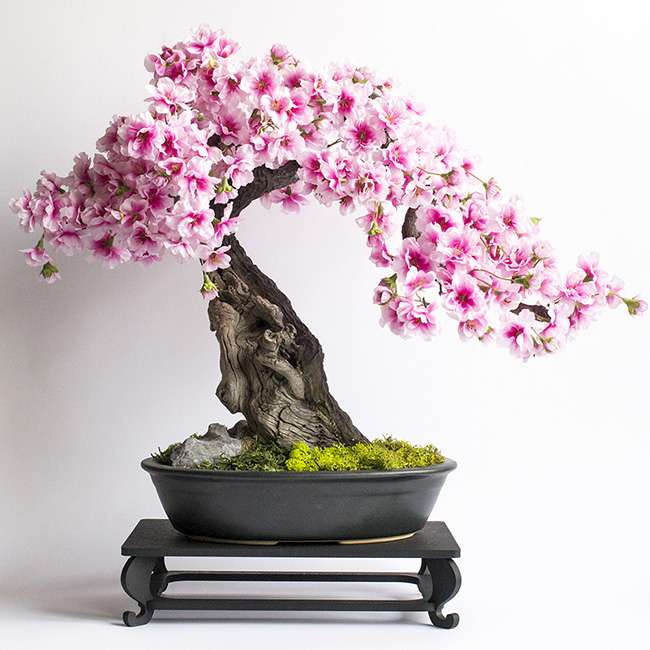 Drzewko bonsai puzzle online