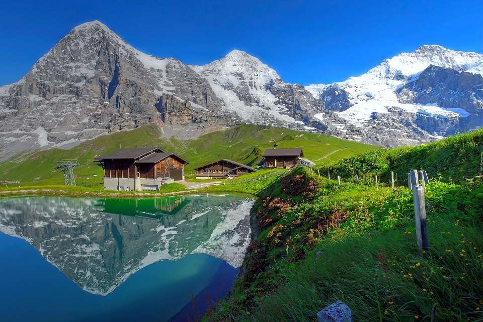 Bernese Alperna. pussel