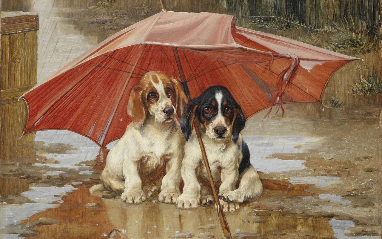 dwa szczeniaki pod parasolem puzzle online