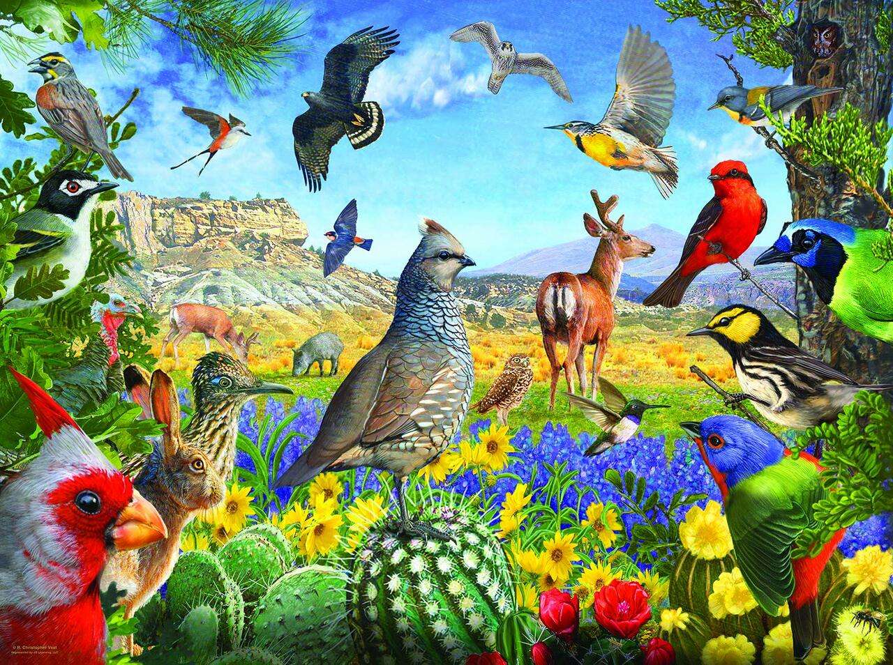 Ptaki i zwierzęta puzzle online