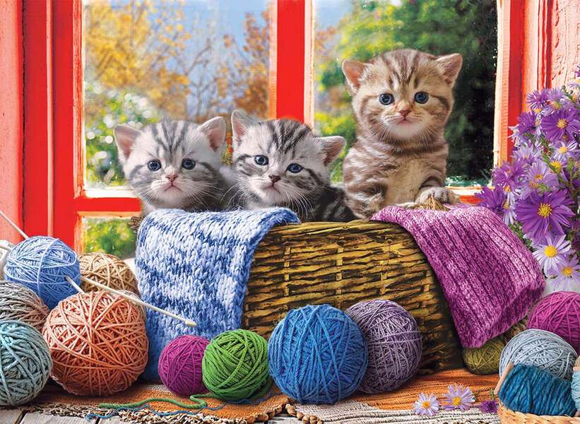 Kocięta chcą robić na drutach #151 puzzle online