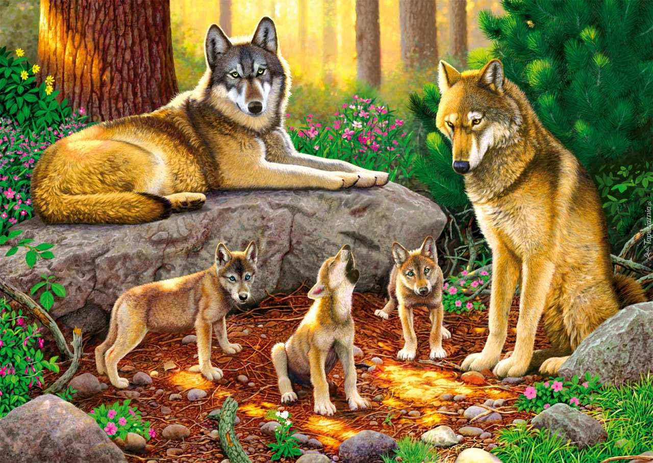 wilcza rodzina puzzle online
