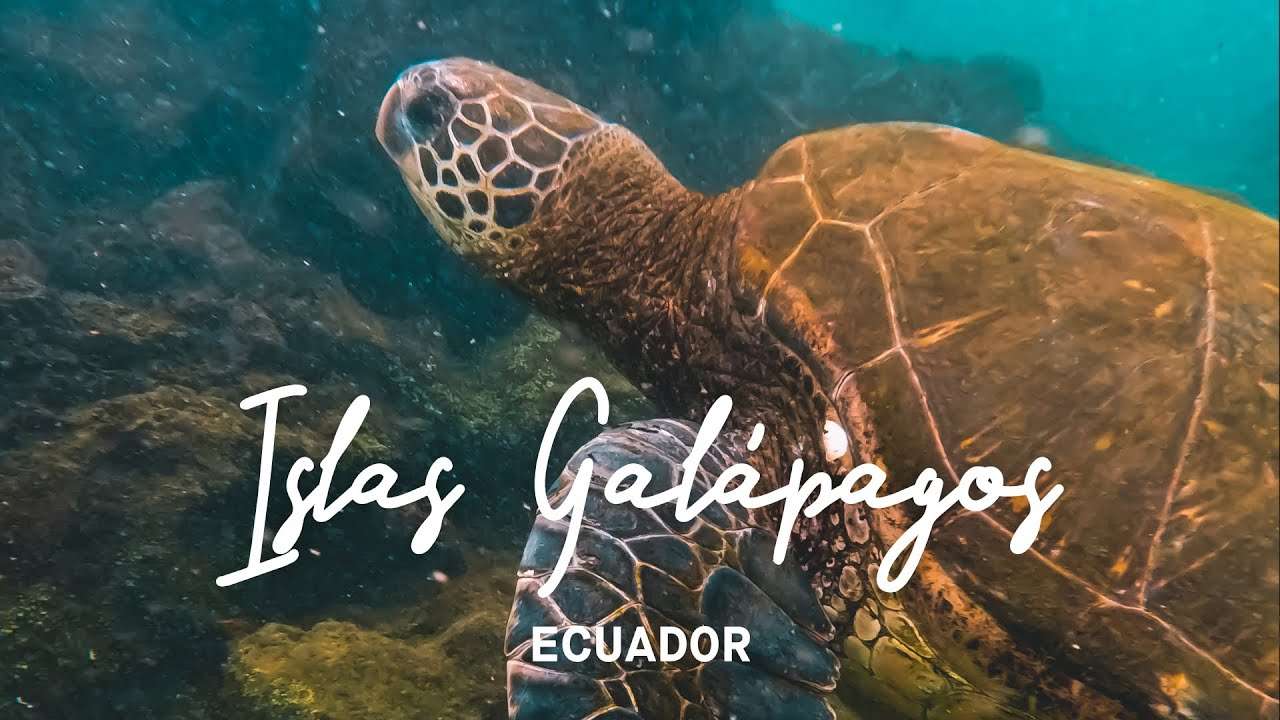GALAPAGOS puzzle online
