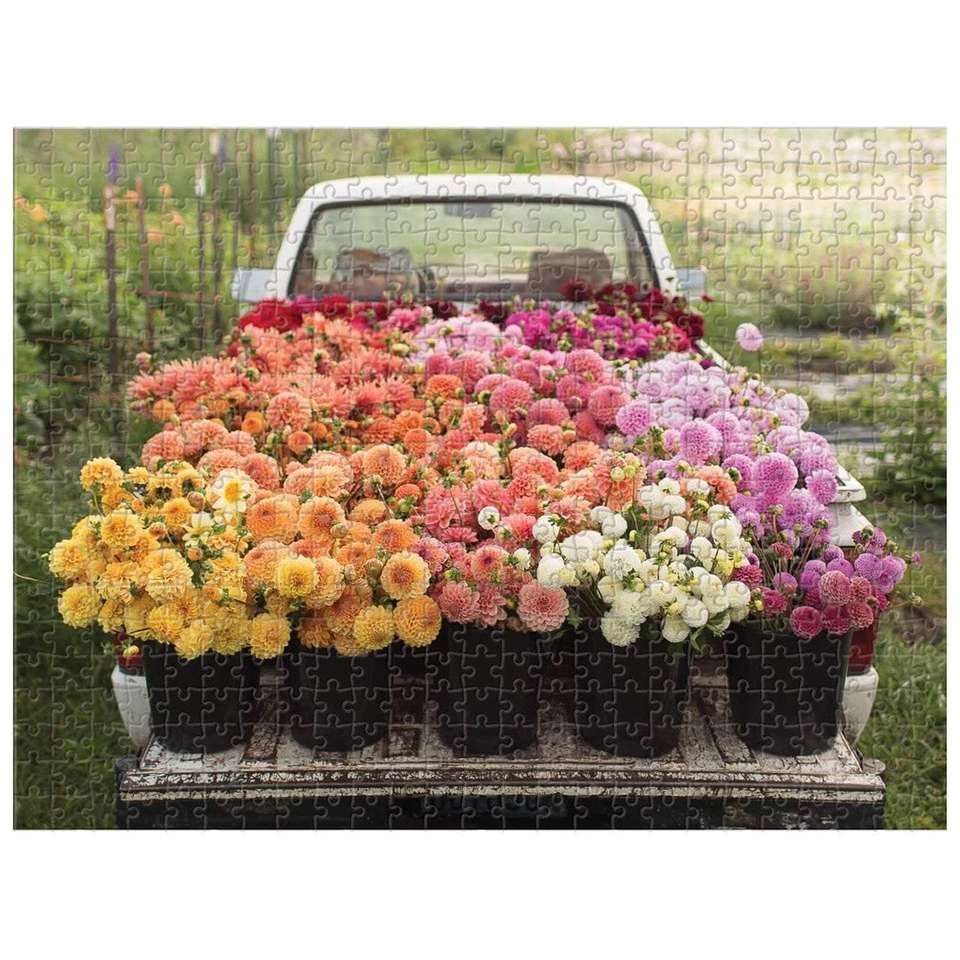 Doniczki z kwiatami na samochodzie puzzle online