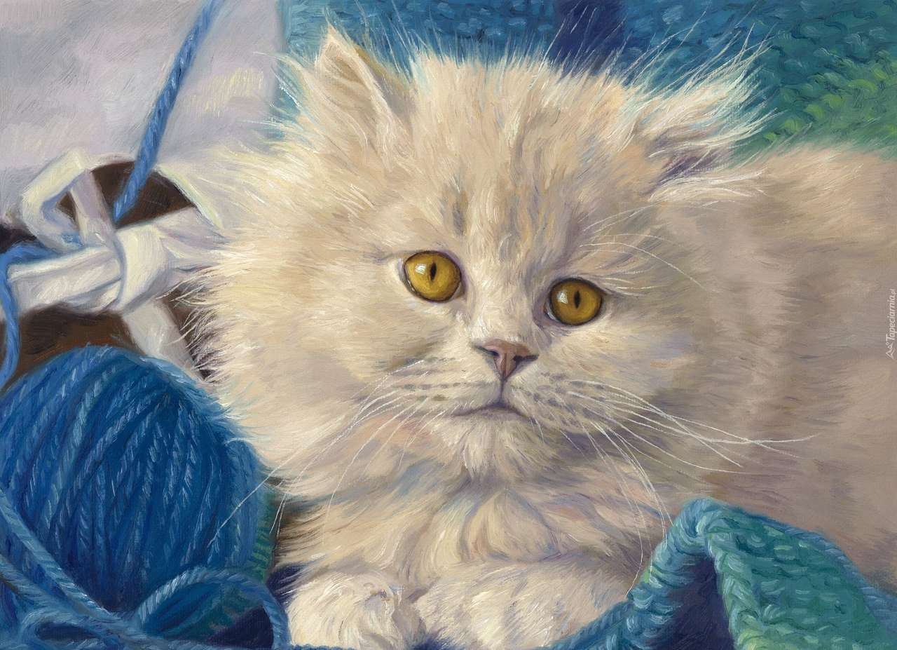 biały kotek na niebieskiej wełnie puzzle online