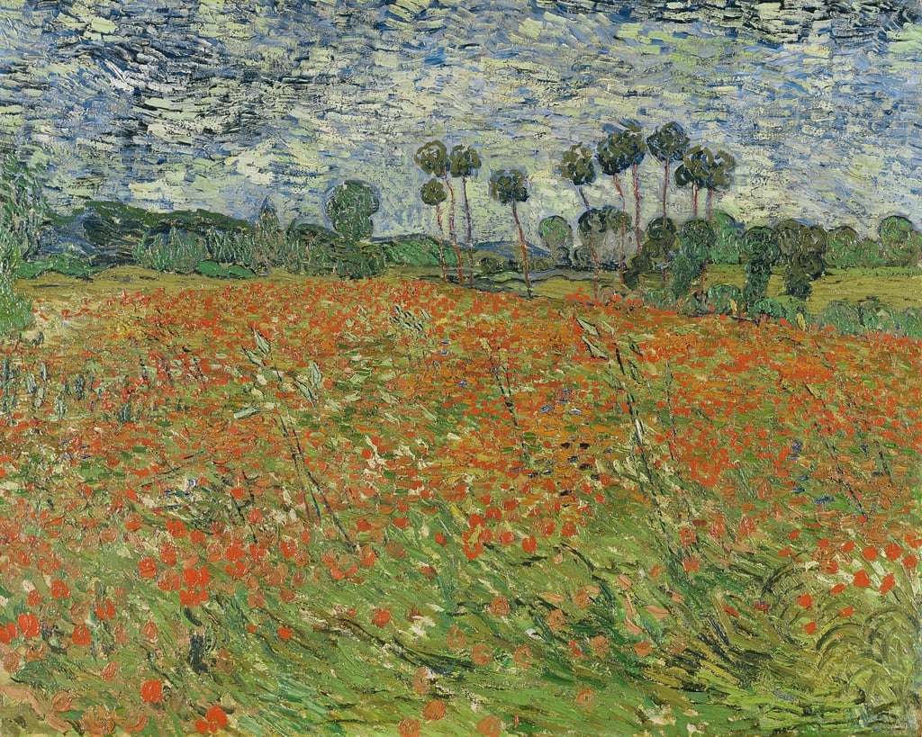 Pole makowe (V van Gogh) puzzle online