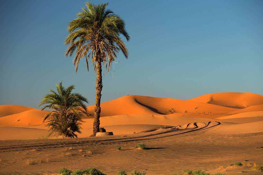 Sahara. Afryka puzzle online
