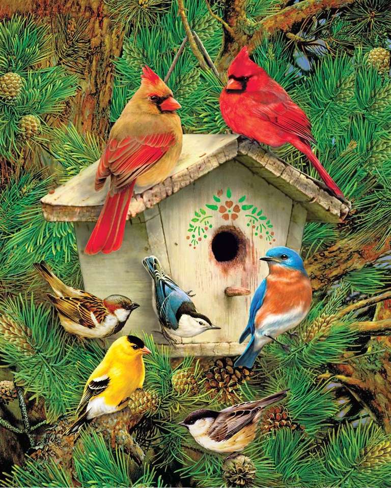Kolorowe ptaszki na karmniku puzzle online