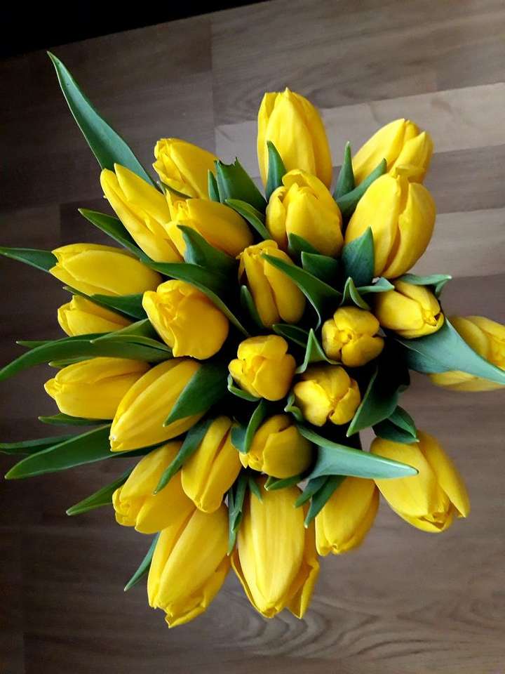 žluté tulipány skládačka