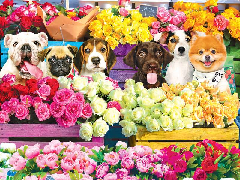 Cagnolini al negozio di fiori #174 puzzle