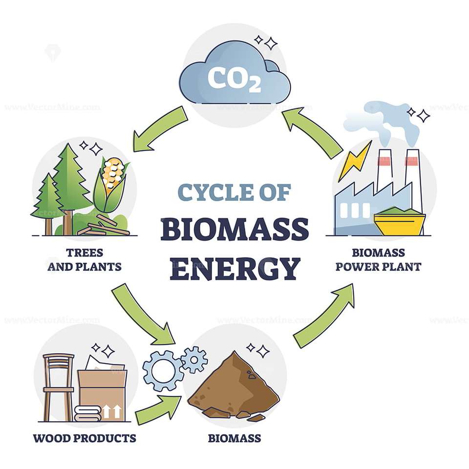 Cykl Biomasy puzzle online