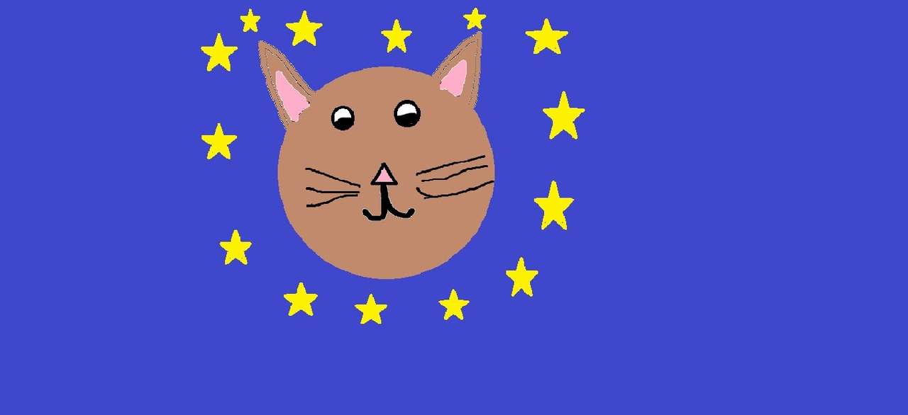 kotek w gwiazdach puzzle online