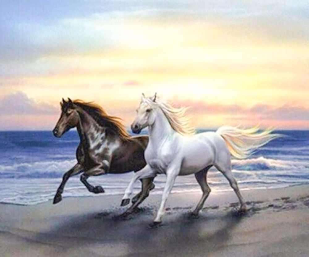 Konie w galopie na plaży puzzle online