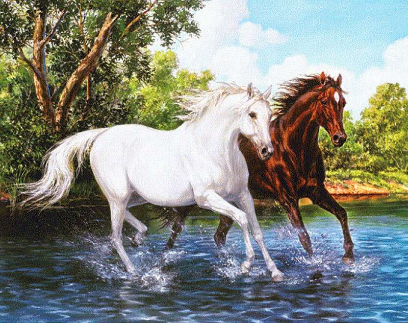 Konie biegnące po wodzie puzzle online