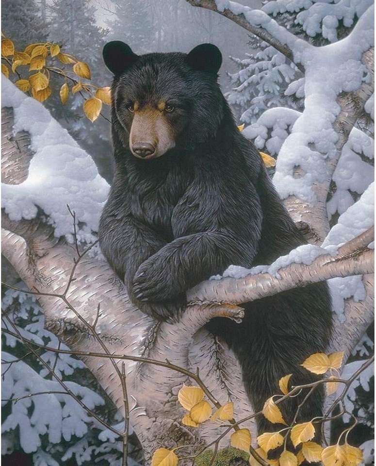 niedźwiedź oparty o drzewo puzzle online