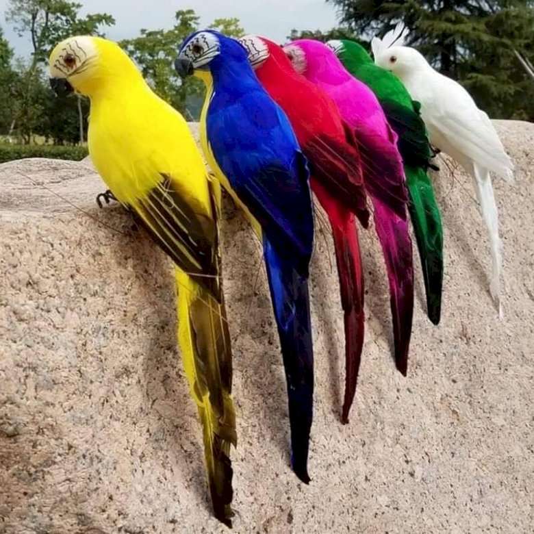 Kolorowe papugi puzzle online