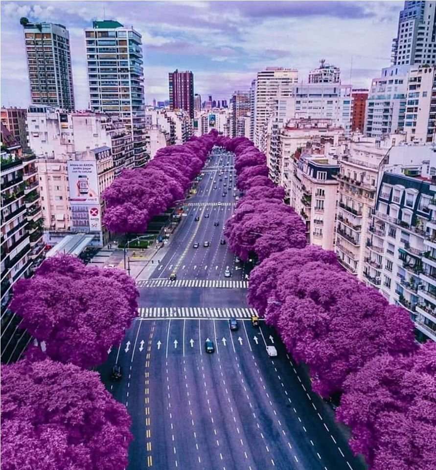 Buenos Aires puzzle online