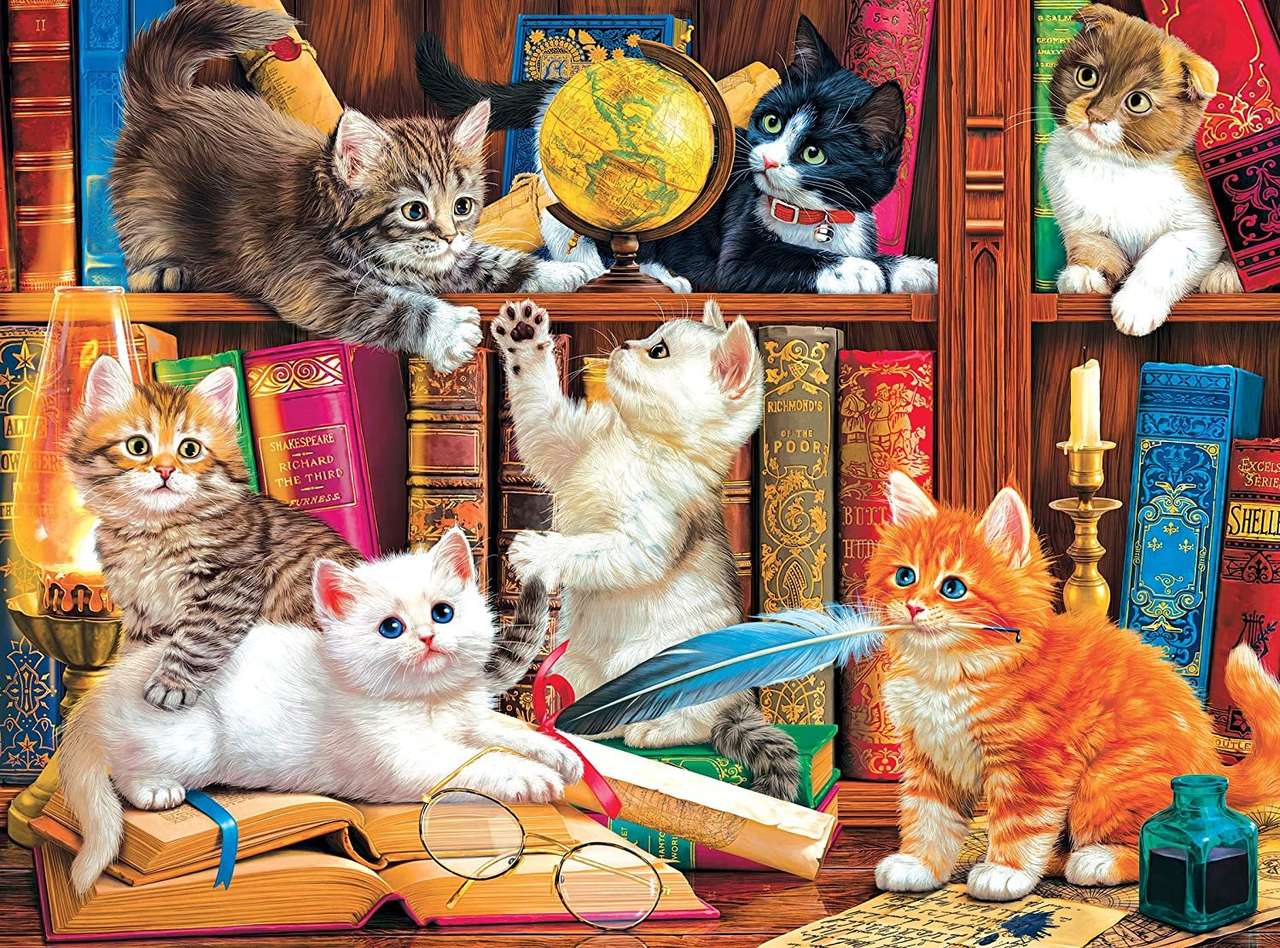 Koty w bibliotece puzzle online