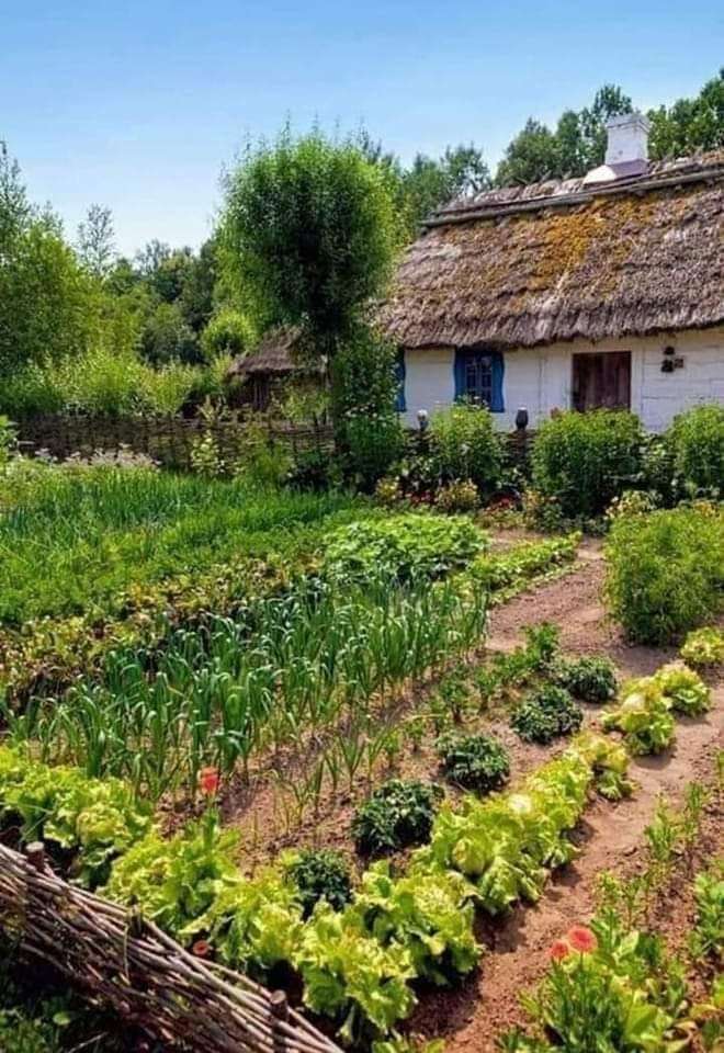 wiejski dom z ogródkiem warzywnym puzzle online