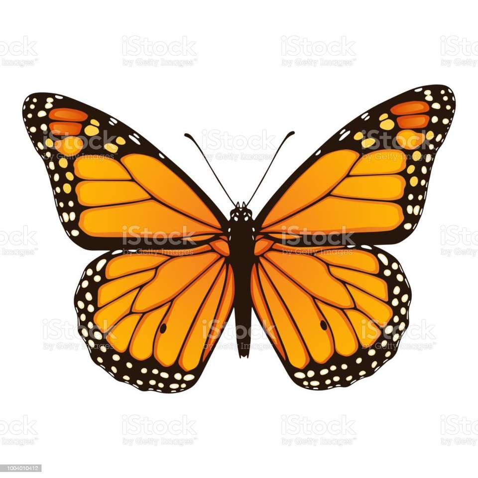 motyl monarcha puzzle online