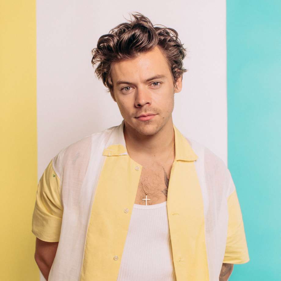 Harry Styles puzzle online