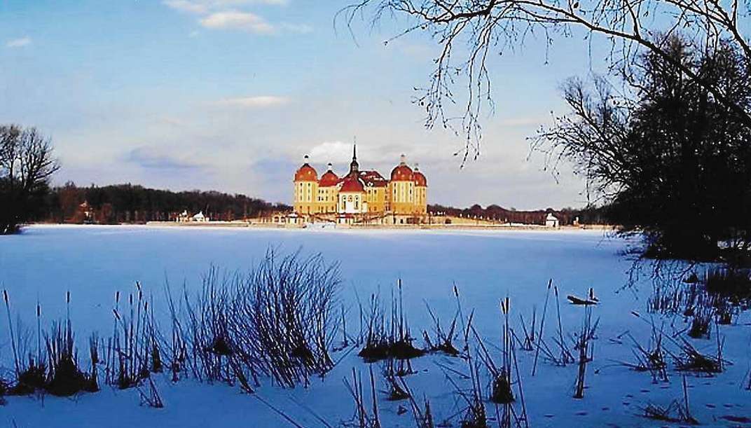 Zamek Moritzburg zimą puzzle online