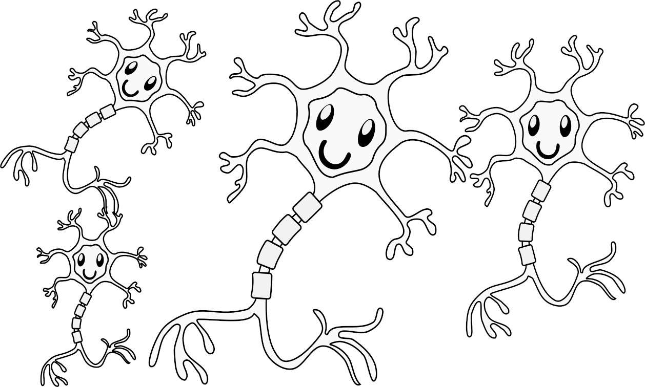 neurony puzzle online
