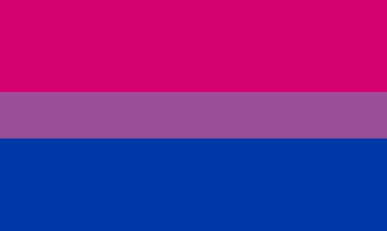 Flaga biseksualna puzzle online