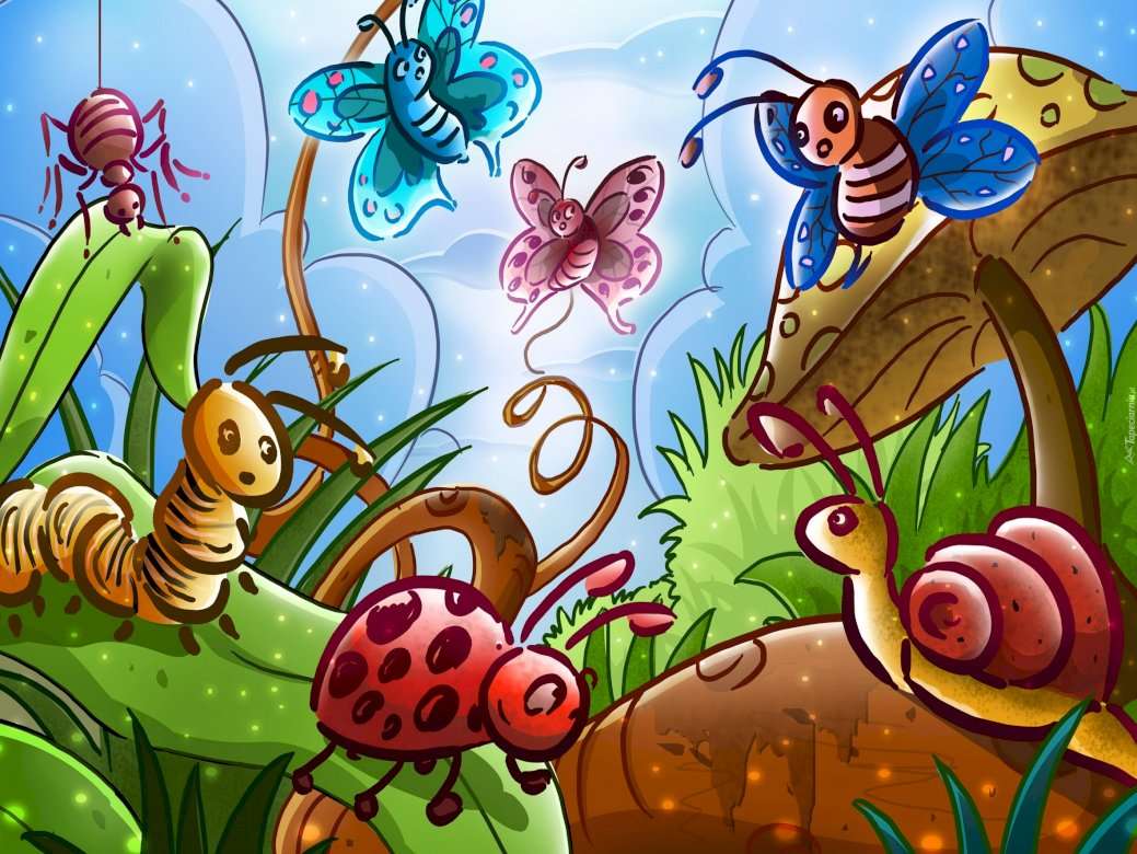 Różne owady puzzle online