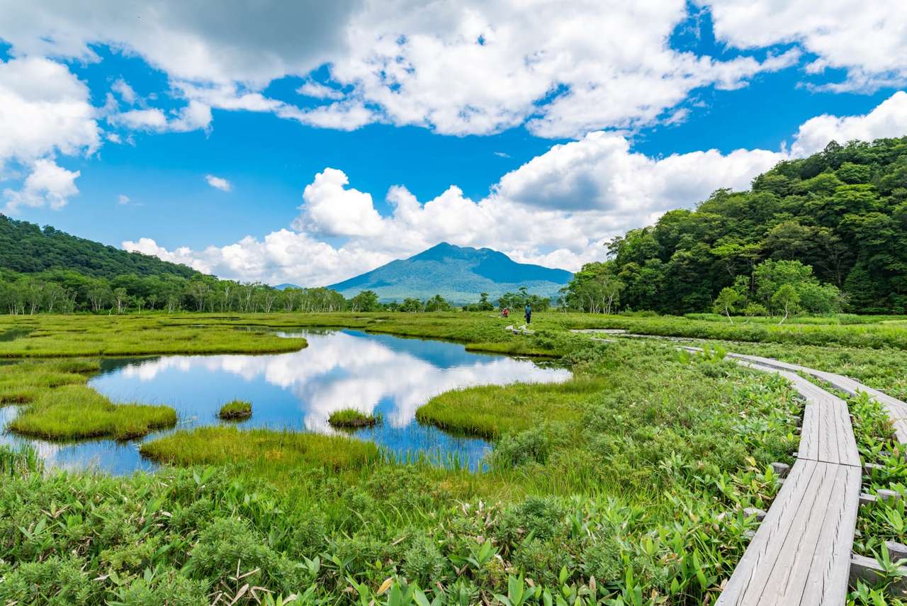 Park Narodowy Oze Japonia puzzle online