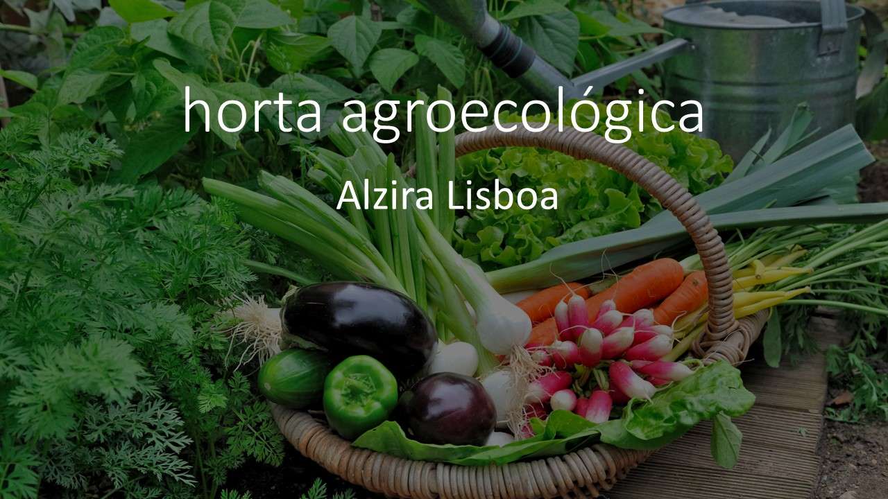 ekologiczny ogród warzywny puzzle online
