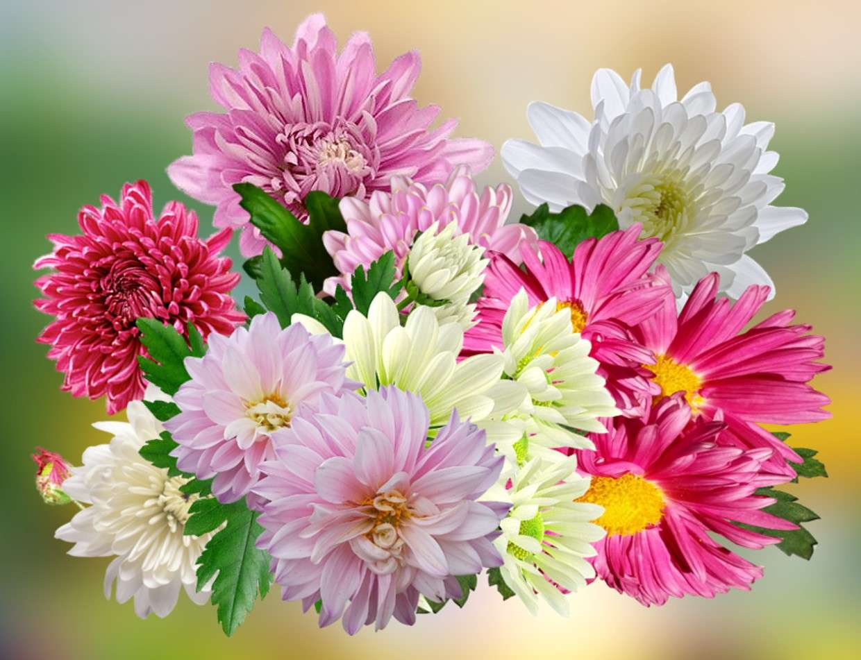 Bukiet ogrodowych kwiatów puzzle online
