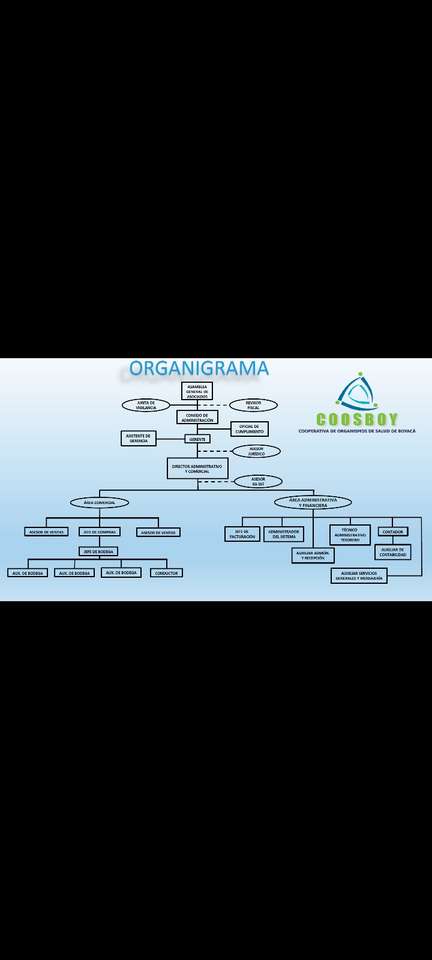 Coosboy schemat organizacyjny puzzle online