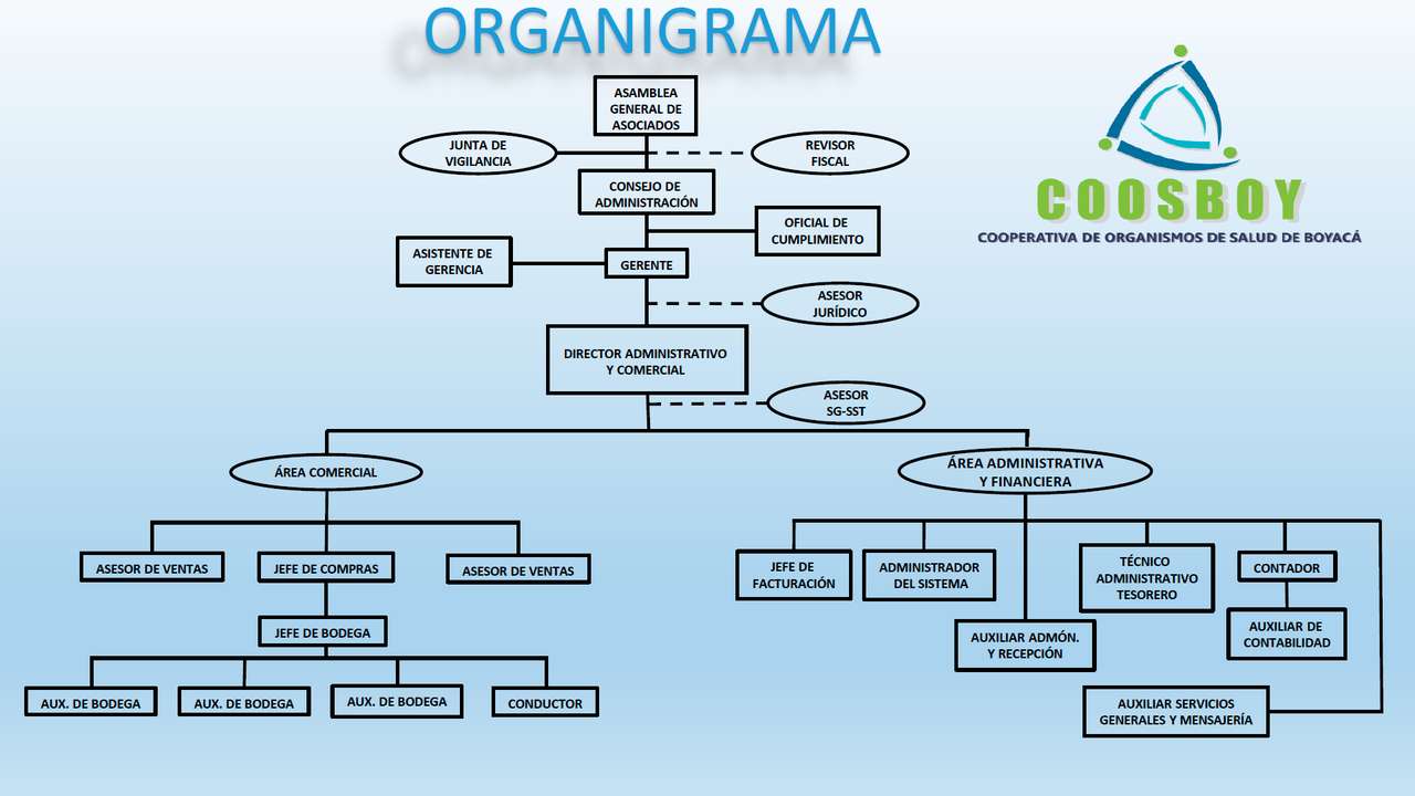 Coosboy schemat organizacyjny puzzle online