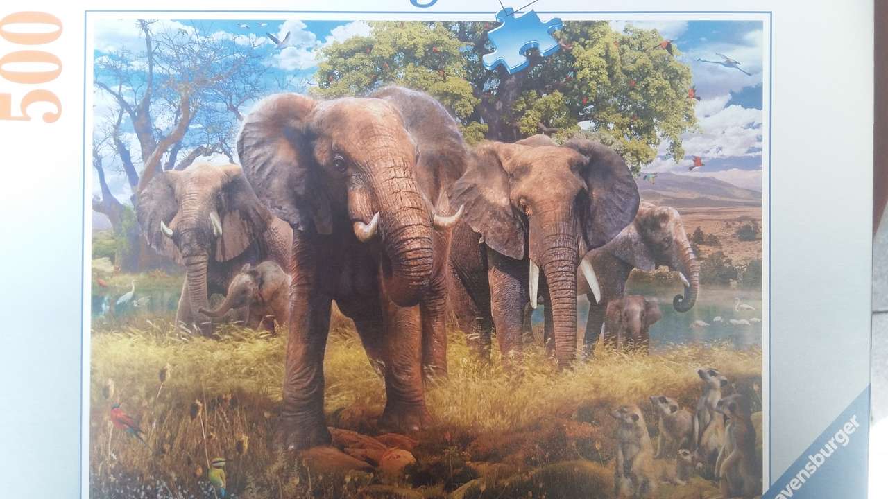 rodzina słoni puzzle online