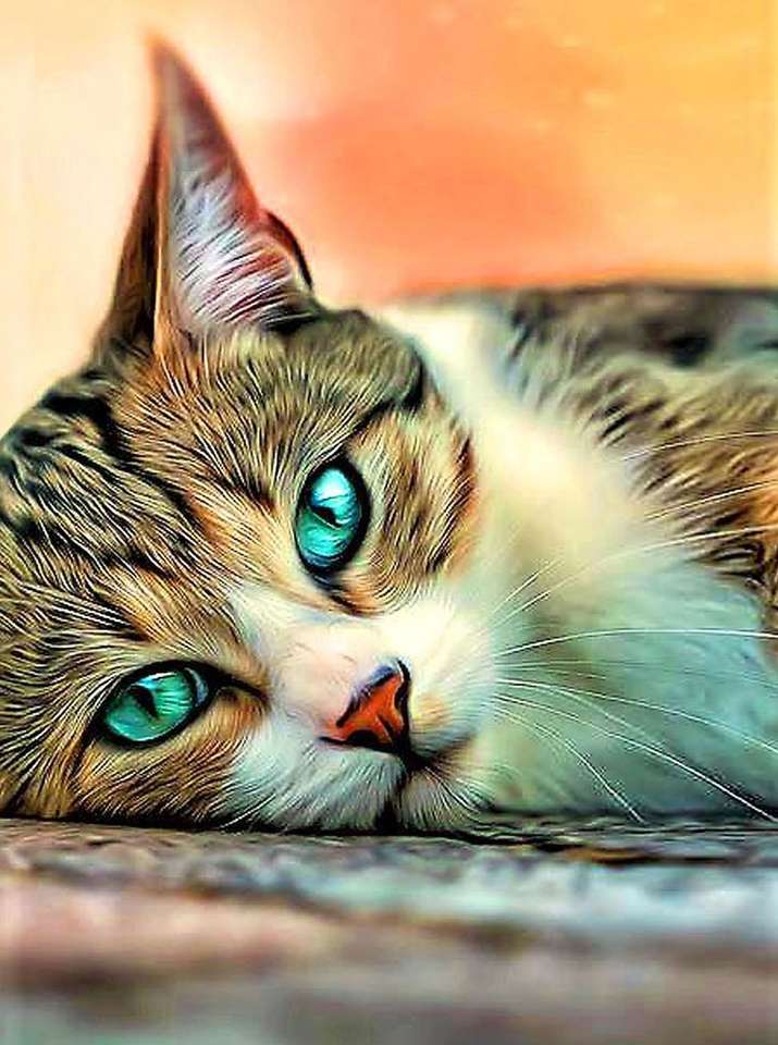 kotek o pięknych oczach puzzle online