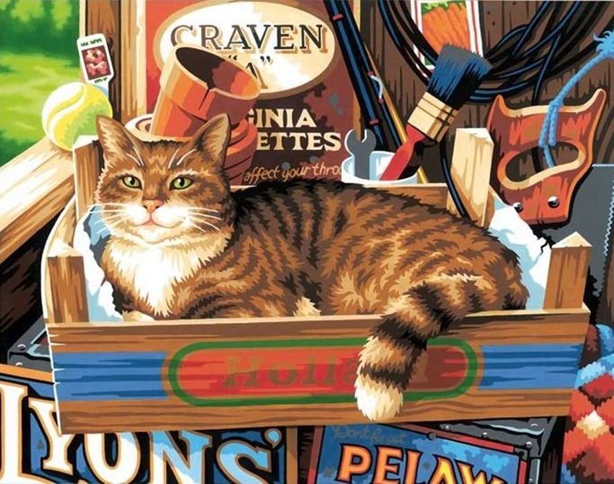 kot w pudełku puzzle online