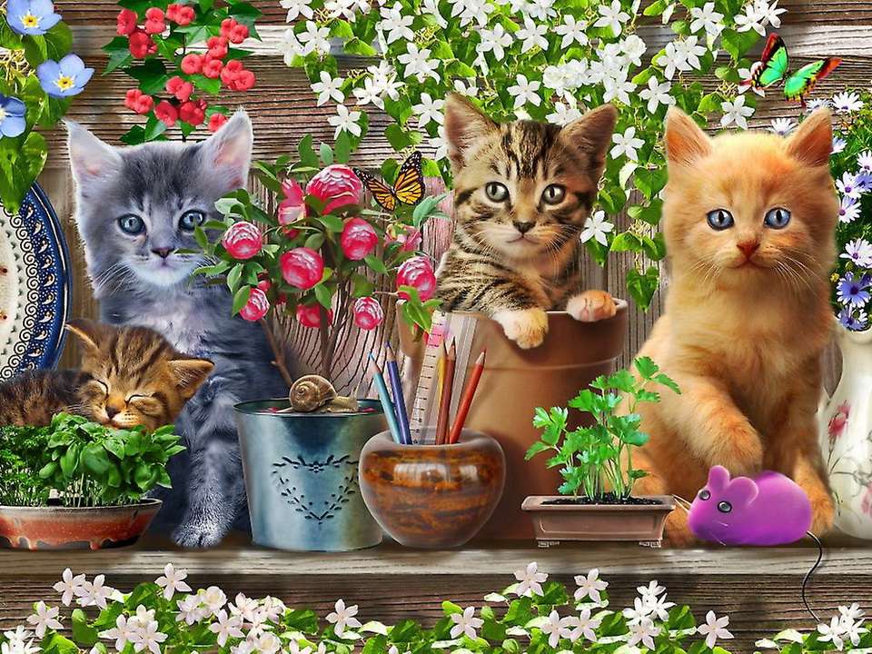 Trzy kotki puzzle online