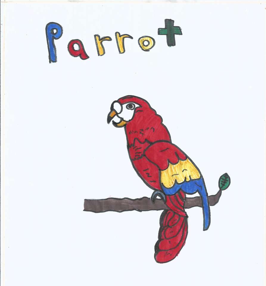 Papuga Papuga puzzle online