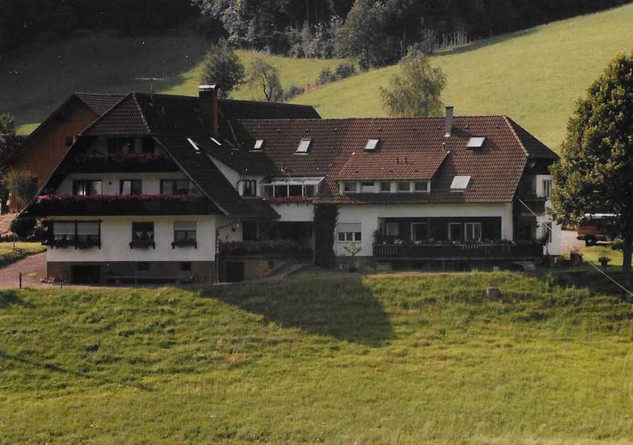 Farma w Schwarzwaldzie puzzle online