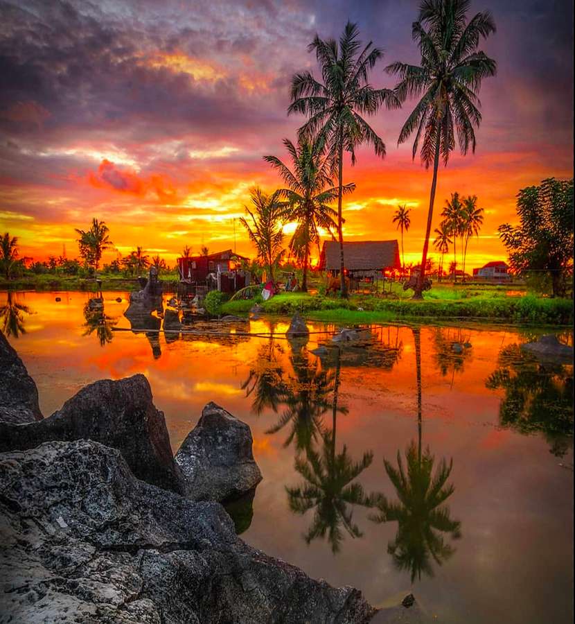 Zachód słońca, palmy, zatoka, bajeczny widok puzzle online