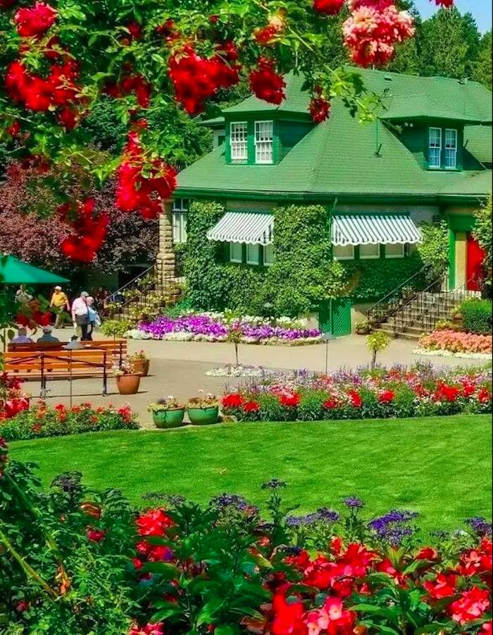 Dom zielony wśród czerwieni kwiatów, cudo puzzle online