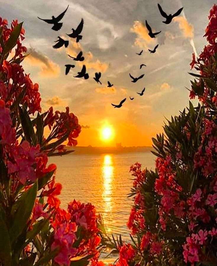 Ptaki, zachód słońca i purpurowe kwiaty, co za widok puzzle online