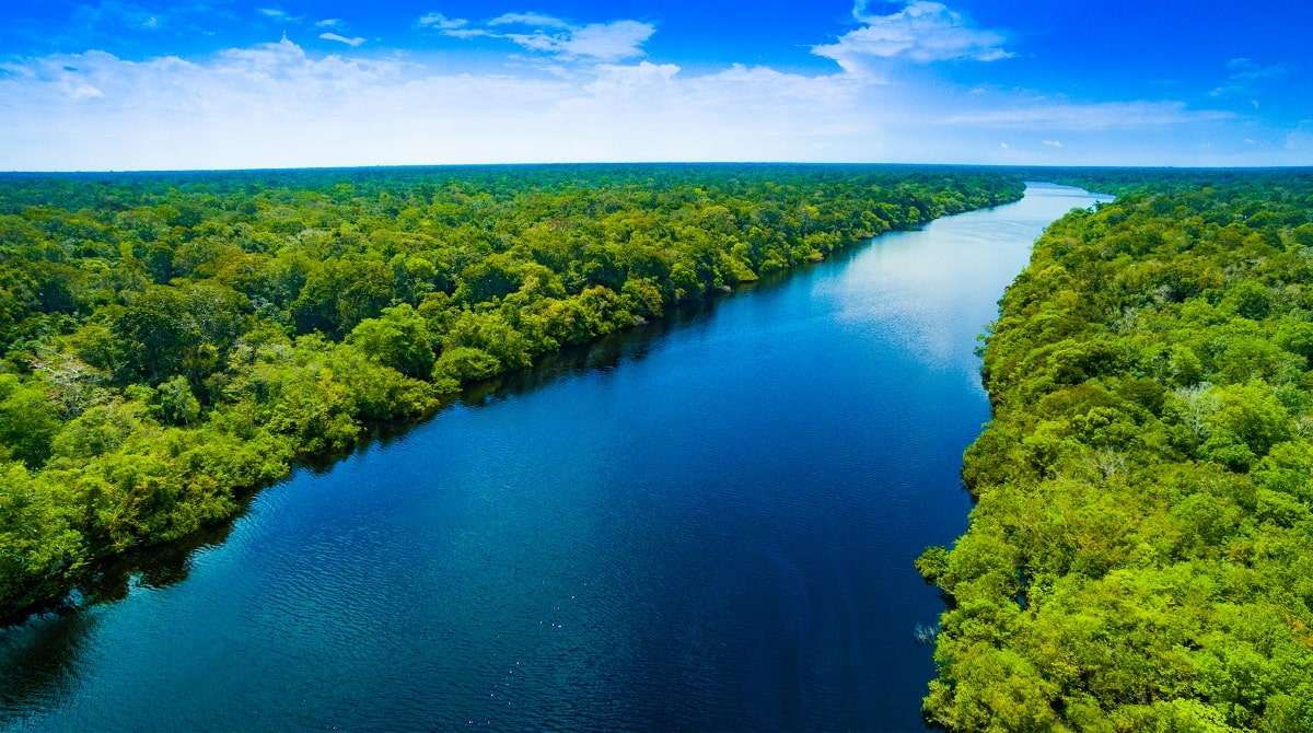 rzeka Amazonka puzzle online