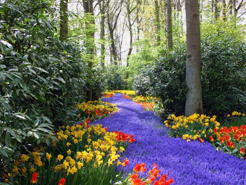 Wiosenne kwiaty w parku puzzle online