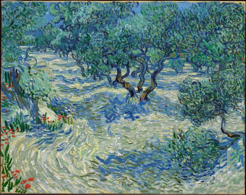 Gaj Oliwny (Vincent van Gogh) puzzle online