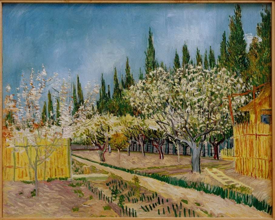 Sad w rozkwicie (V van Gogh) puzzle online