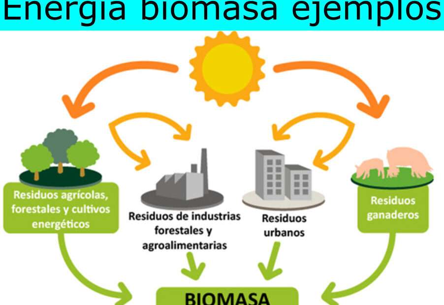 Energia z biomasy puzzle online