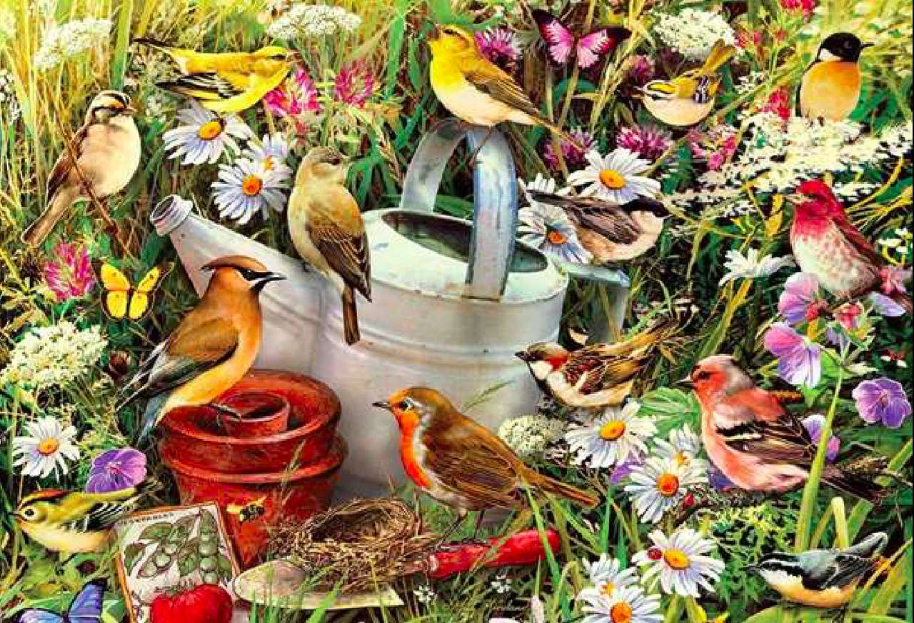 Ptasie królestwo w pięknym ogrodzie puzzle online