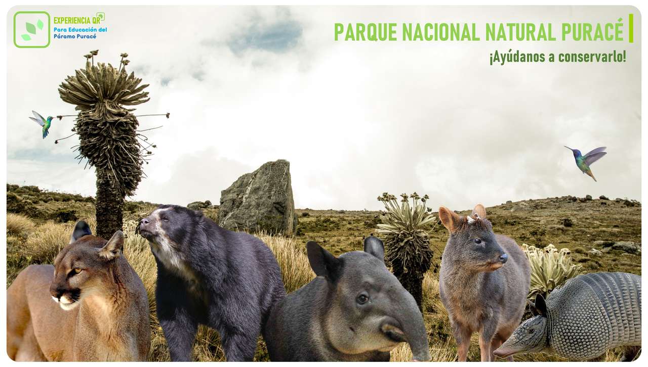 Puzzle Narodowego Parku Przyrody Puracé puzzle online